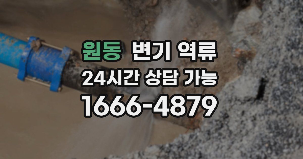 원동 변기 역류