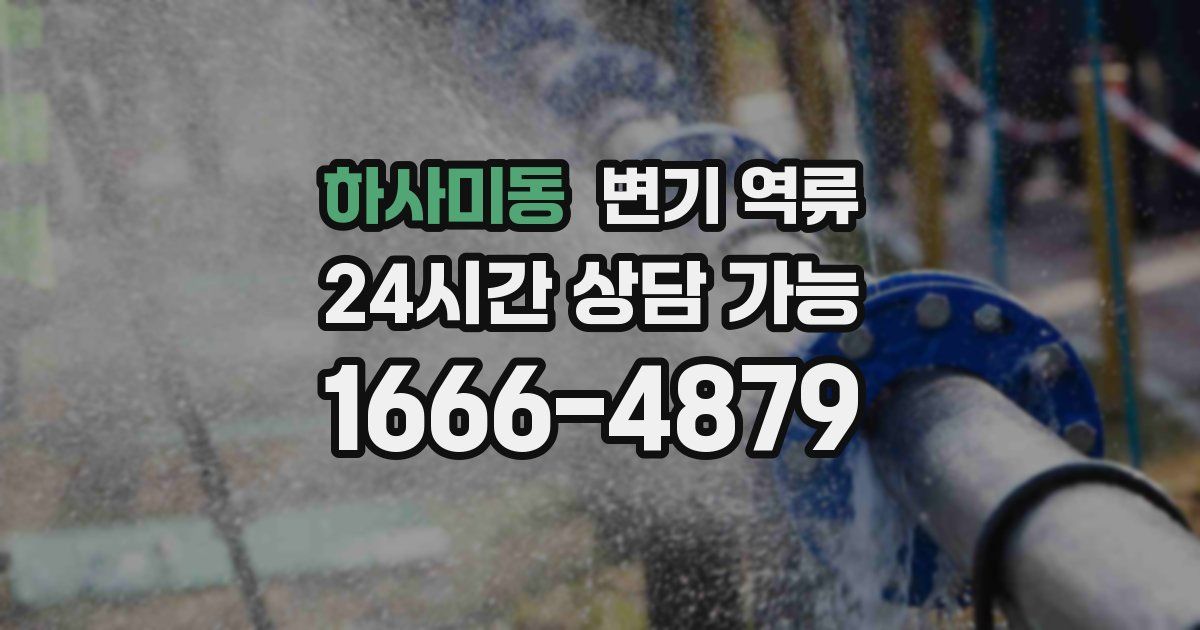 하사미동 변기 역류