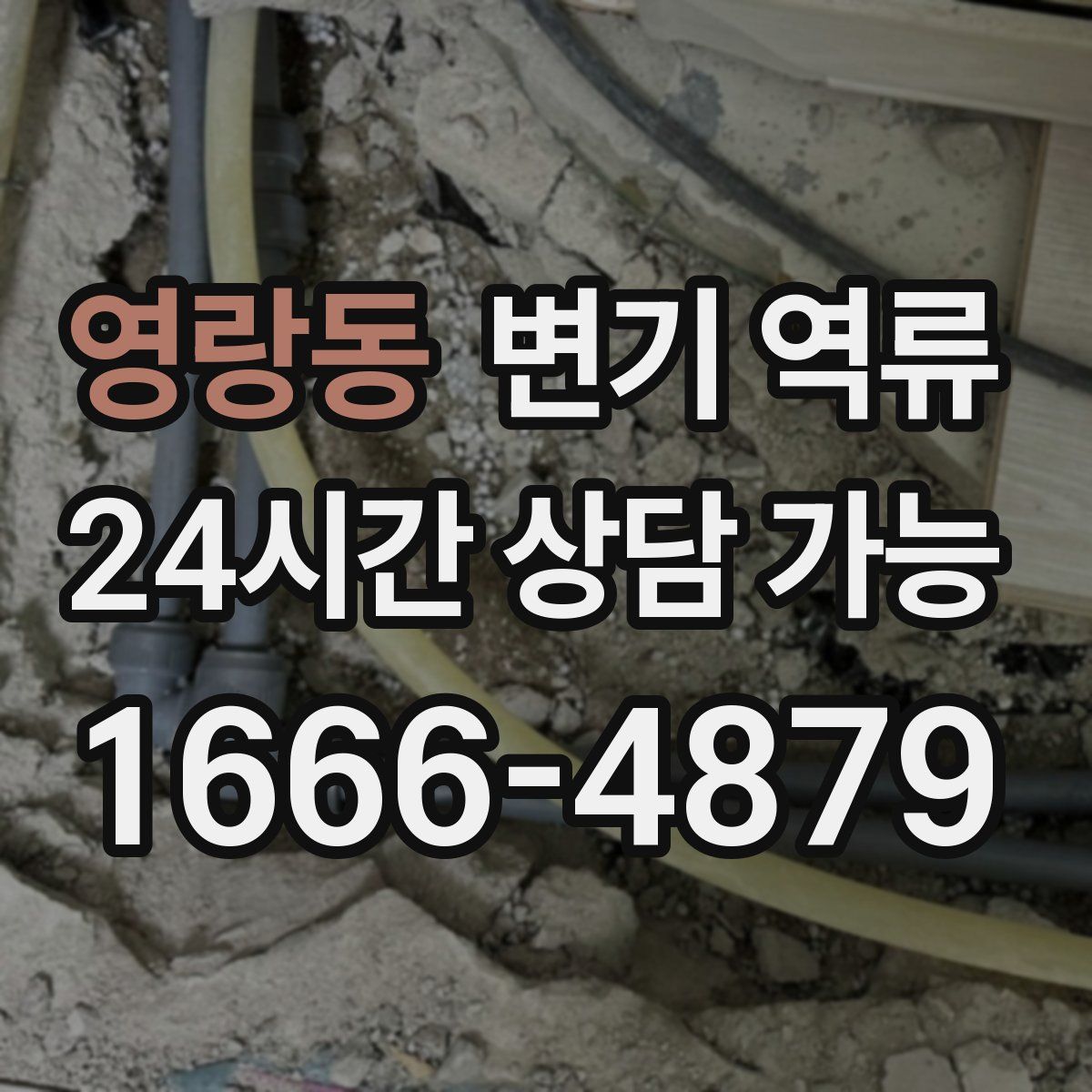 영랑동 변기 역류