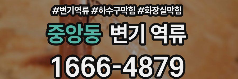 중앙동 변기 역류