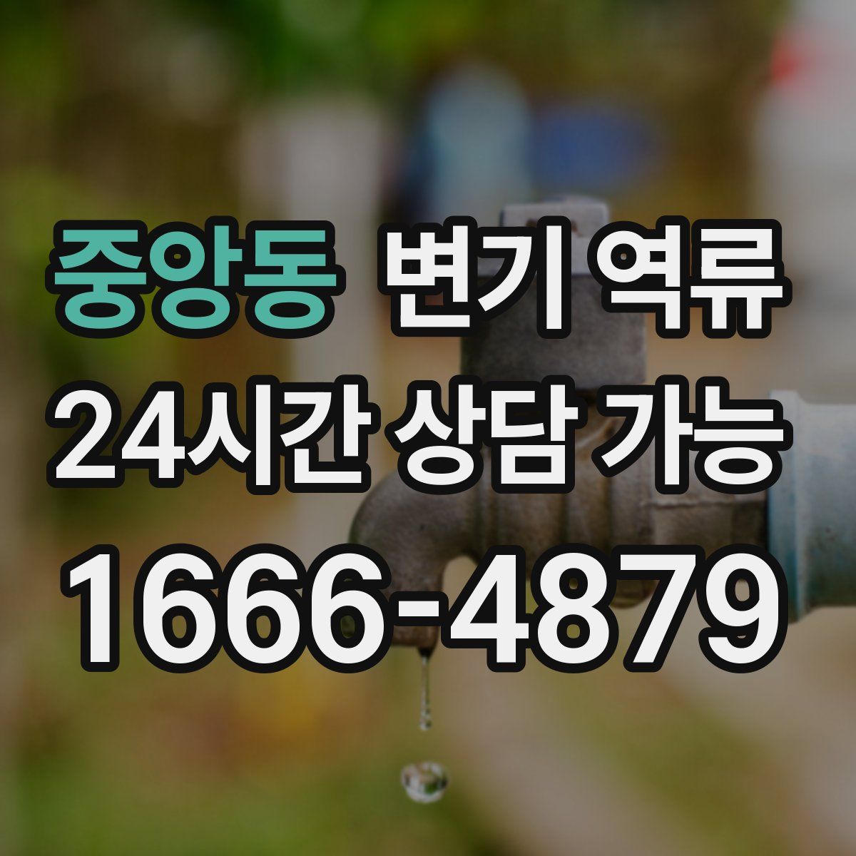 중앙동 변기 역류