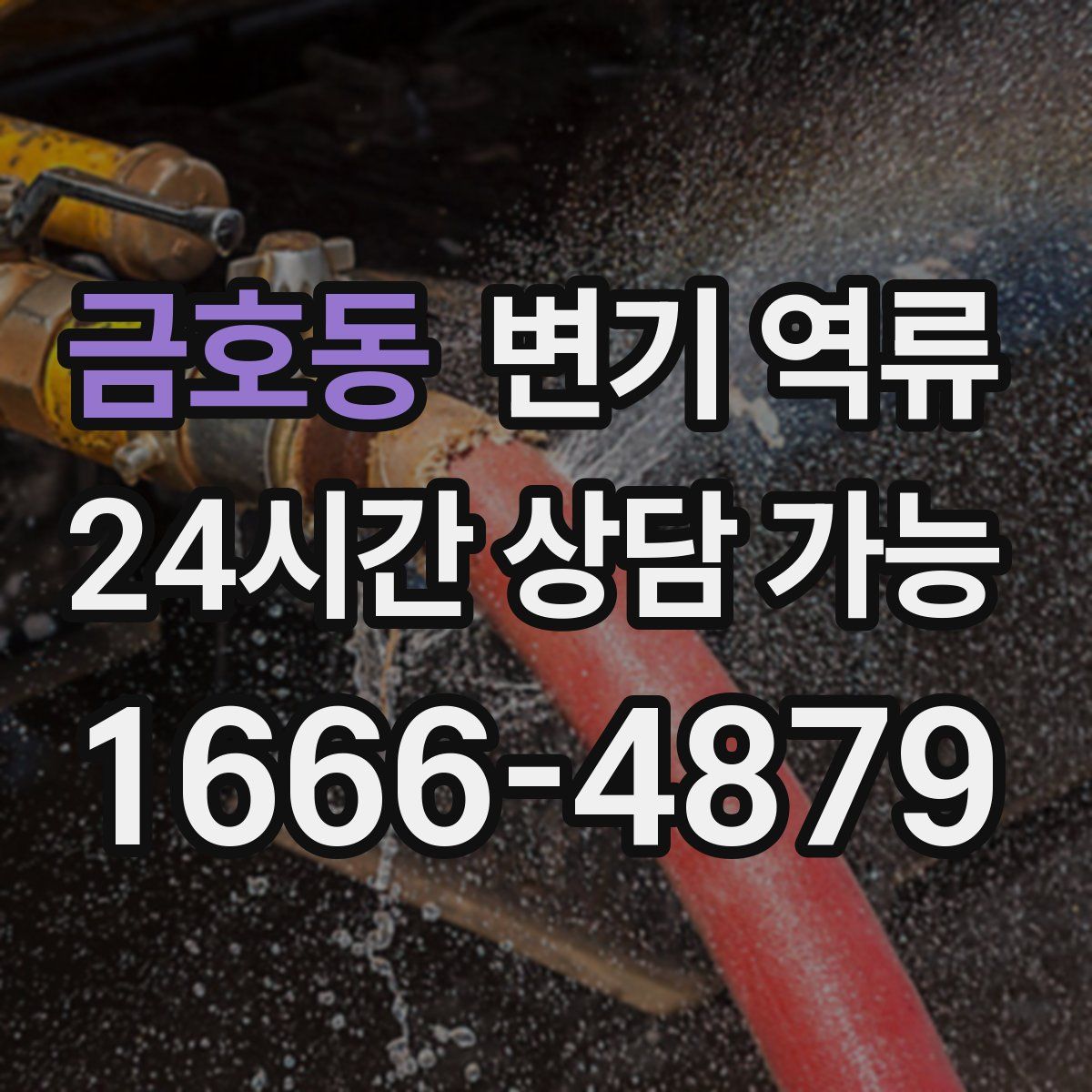 금호동 변기 역류