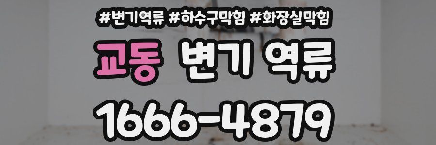 교동 변기 역류