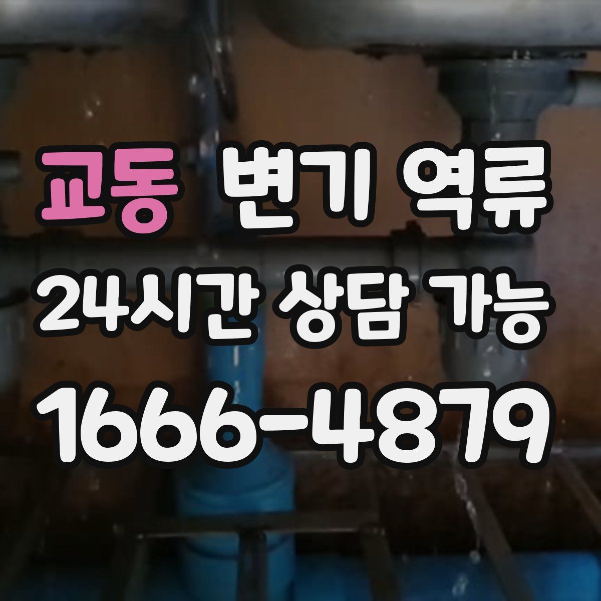 교동 변기 역류