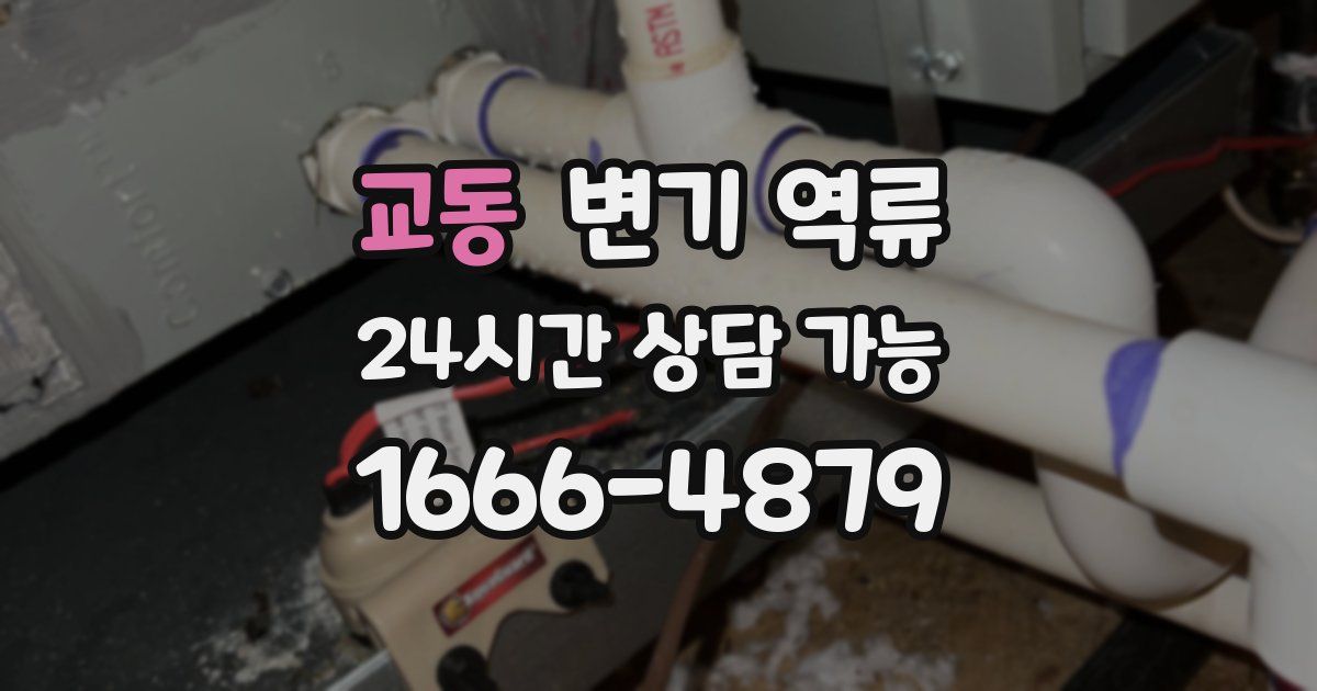 교동 변기 역류