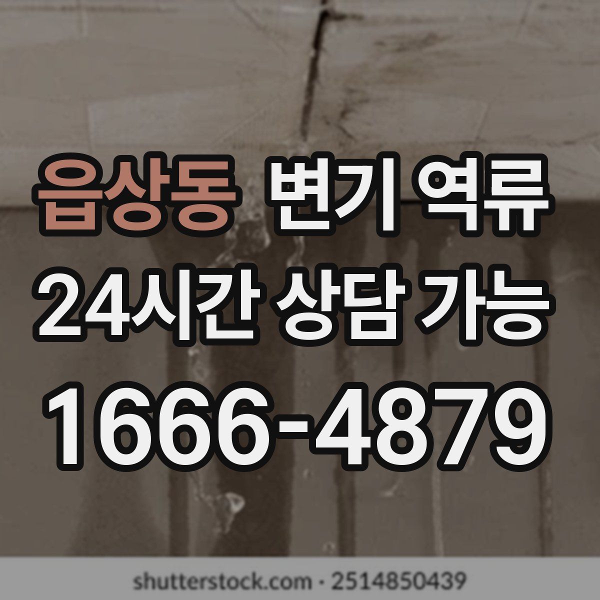 읍상동 변기 역류