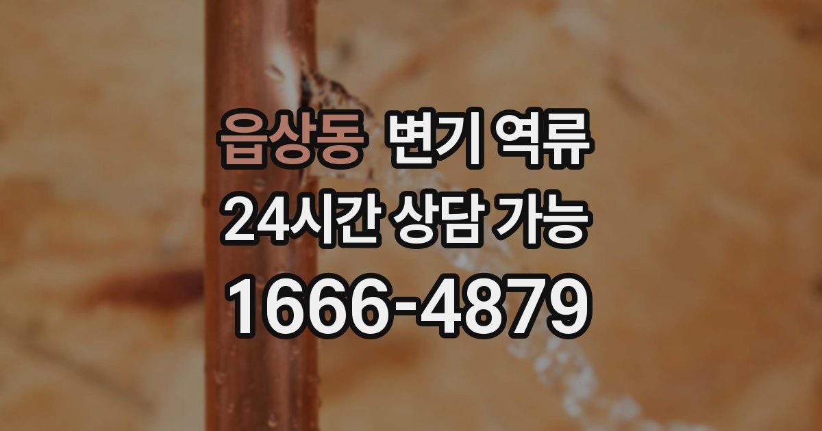 읍상동 변기 역류