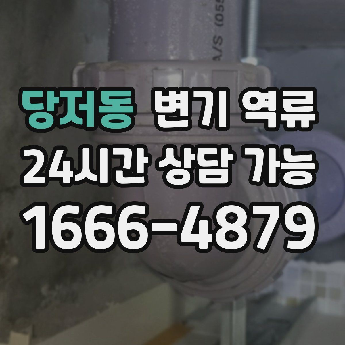당저동 변기 역류 역류량이 많을수록 위험한 이유