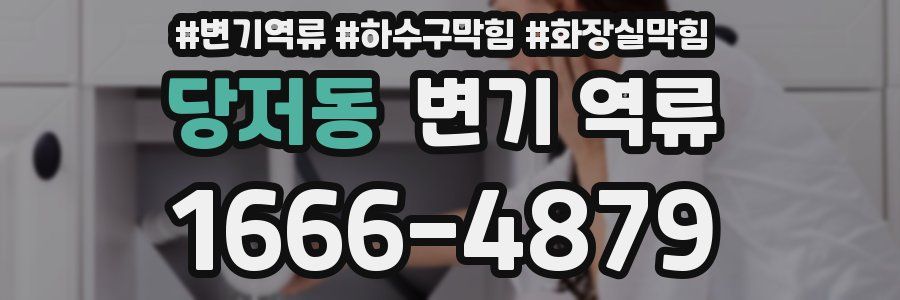 당저동 변기 역류