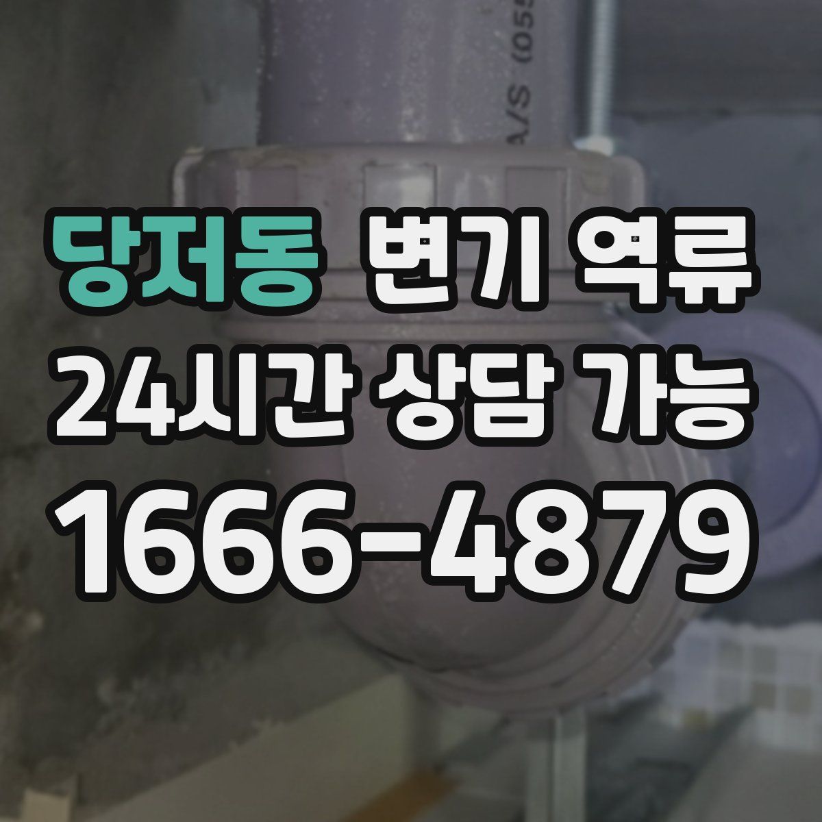 당저동 변기 역류