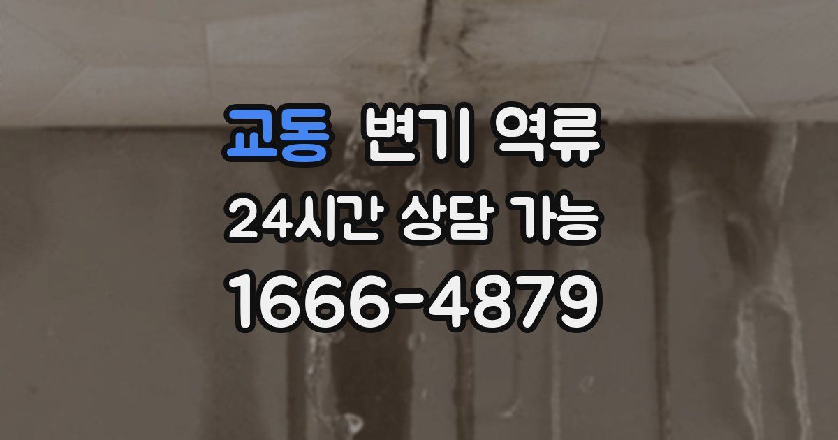 교동 변기 역류