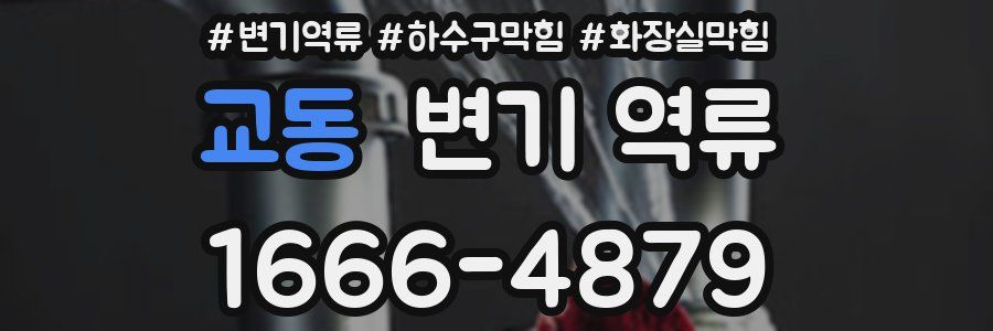 교동 변기 역류