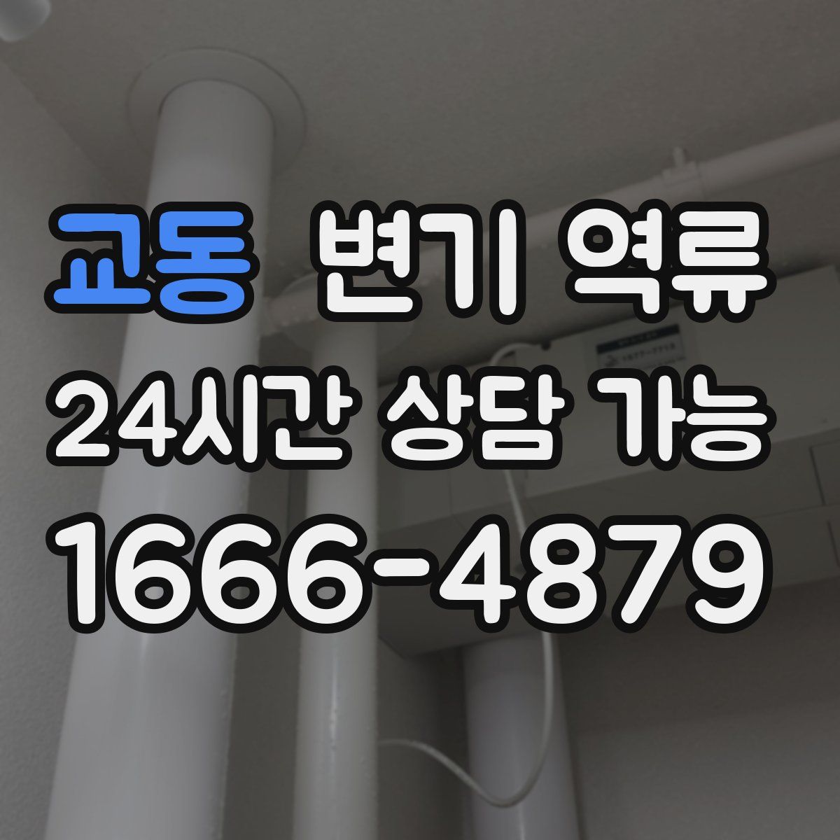교동 변기 역류