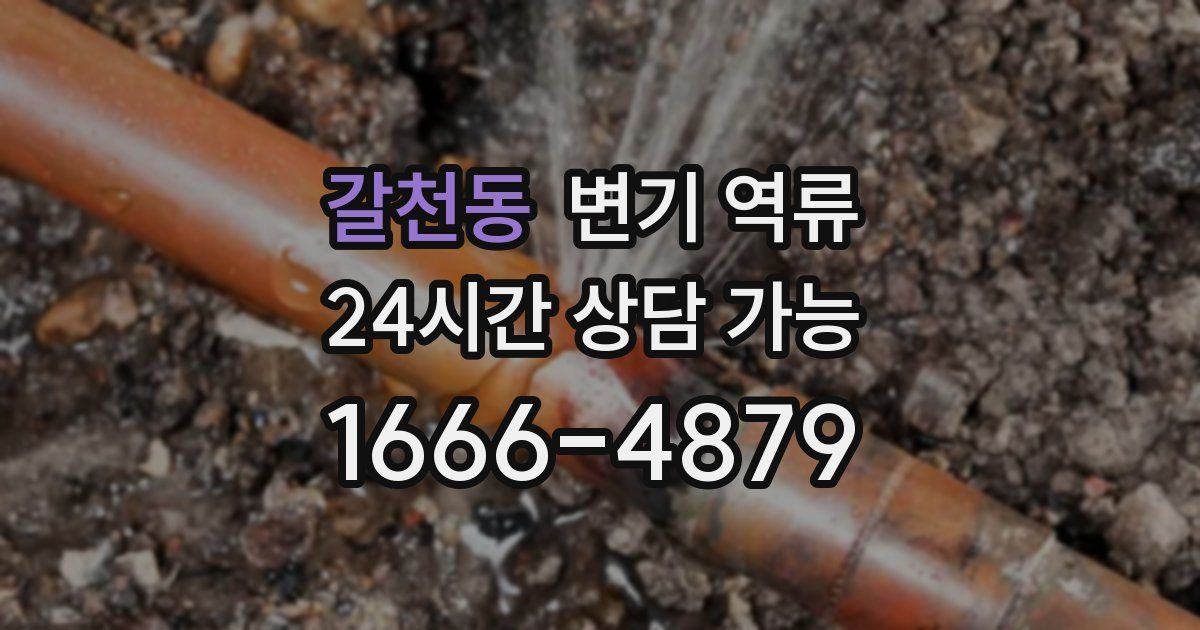 갈천동 변기 역류