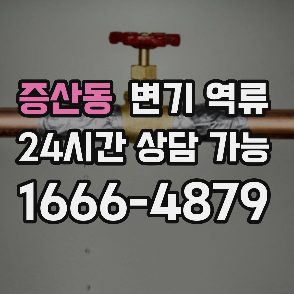 증산동 변기 역류