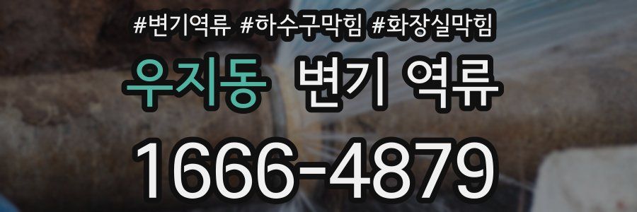 우지동 변기 역류