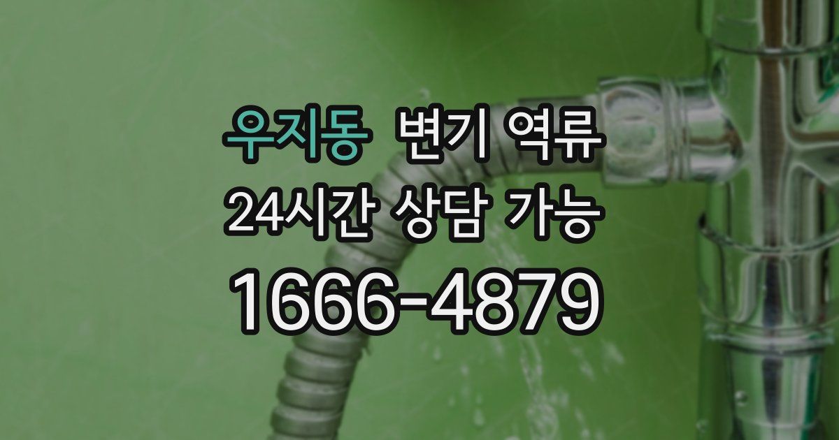 우지동 변기 역류