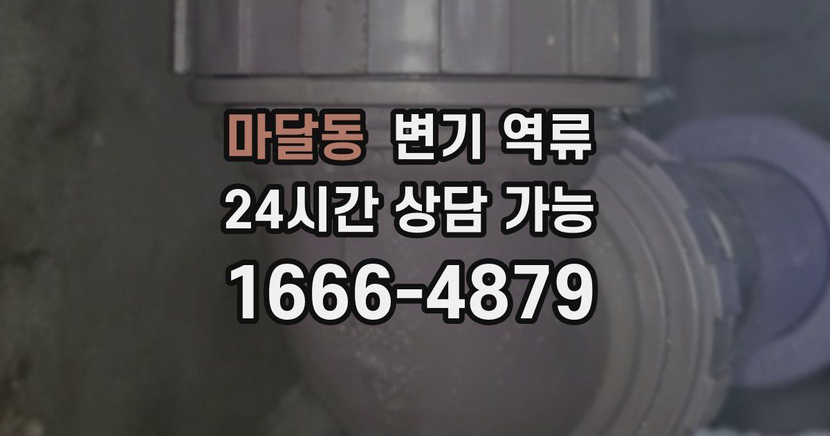 마달동 변기 역류