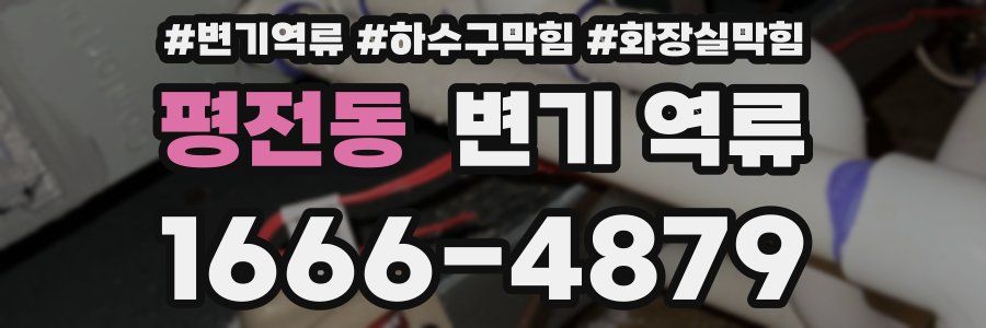 평전동 변기 역류