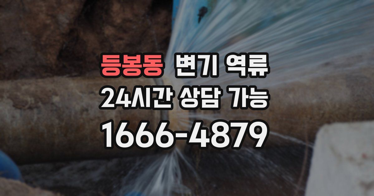 등봉동 변기 역류