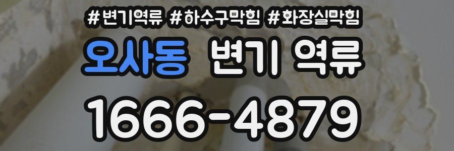 오사동 변기 역류