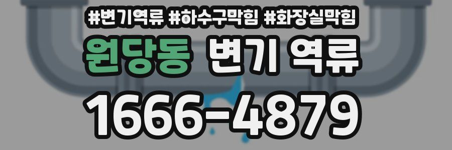 원당동 변기 역류