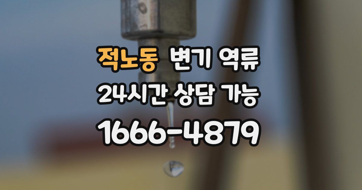 적노동 변기 역류