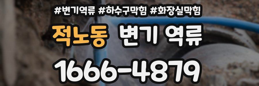 적노동 변기 역류