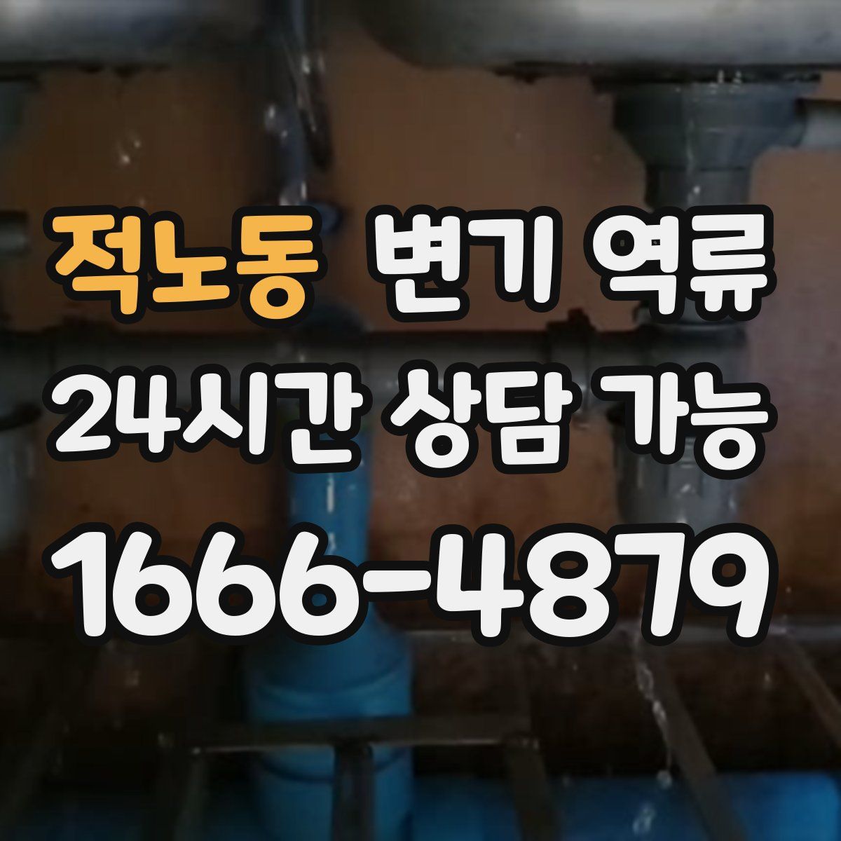 적노동 변기 역류