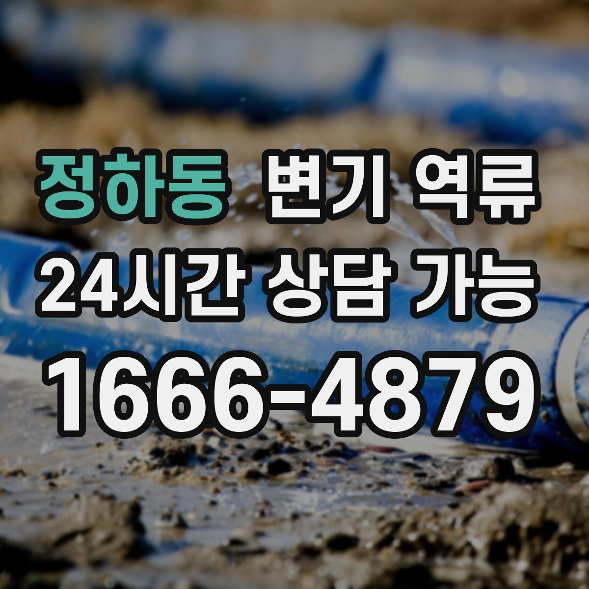 정하동 변기 역류