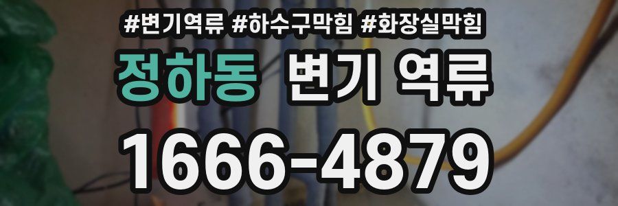 정하동 변기 역류