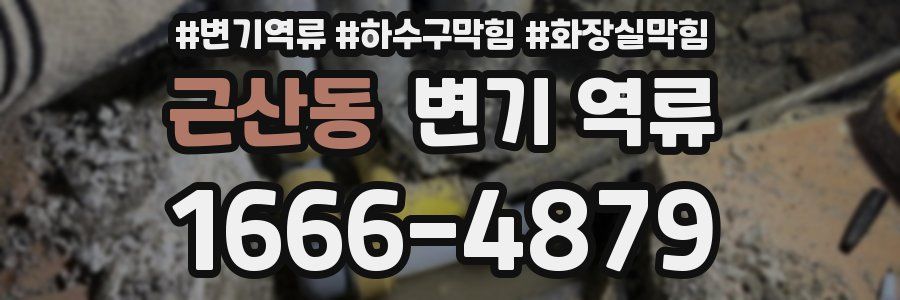 근산동 변기 역류