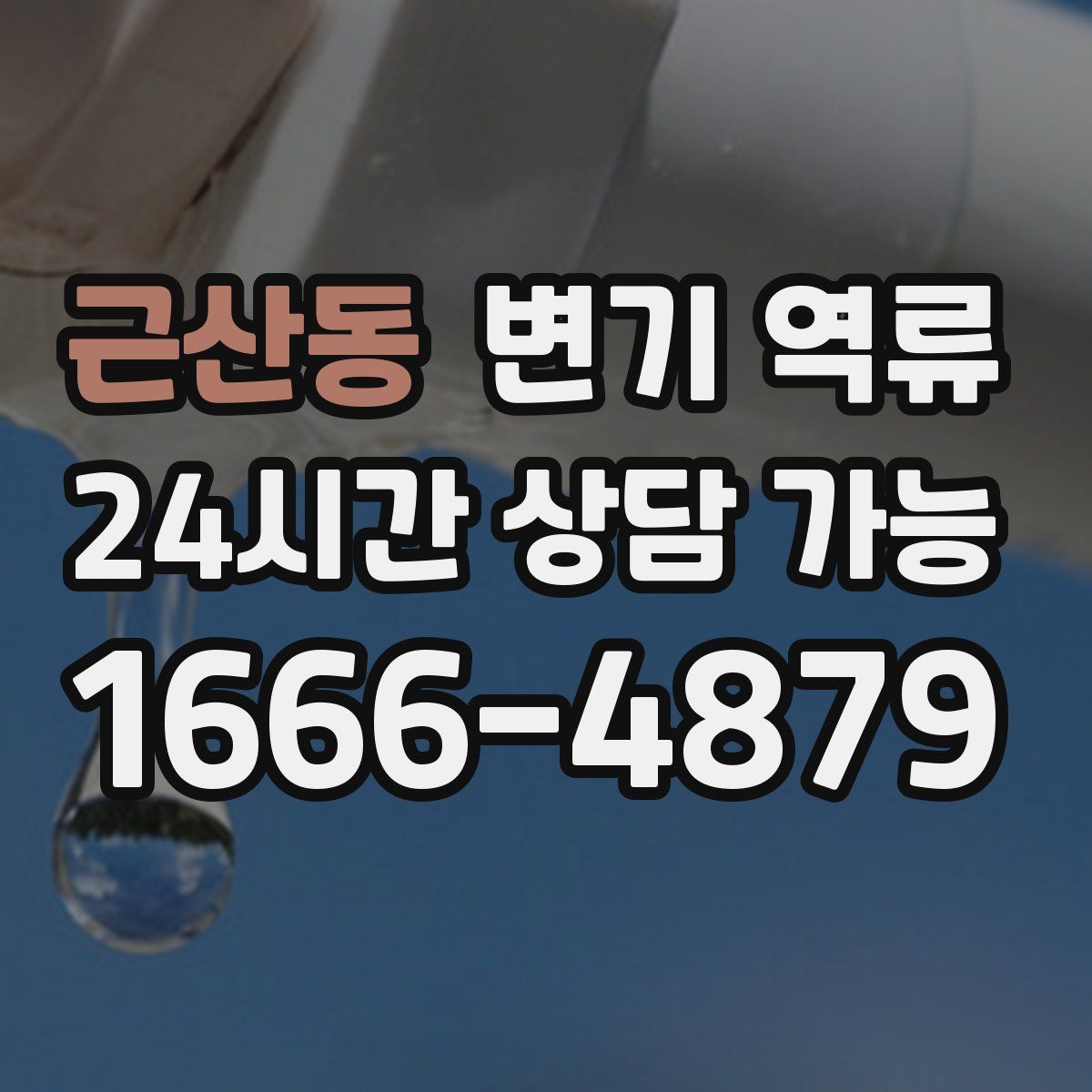 근산동 변기 역류