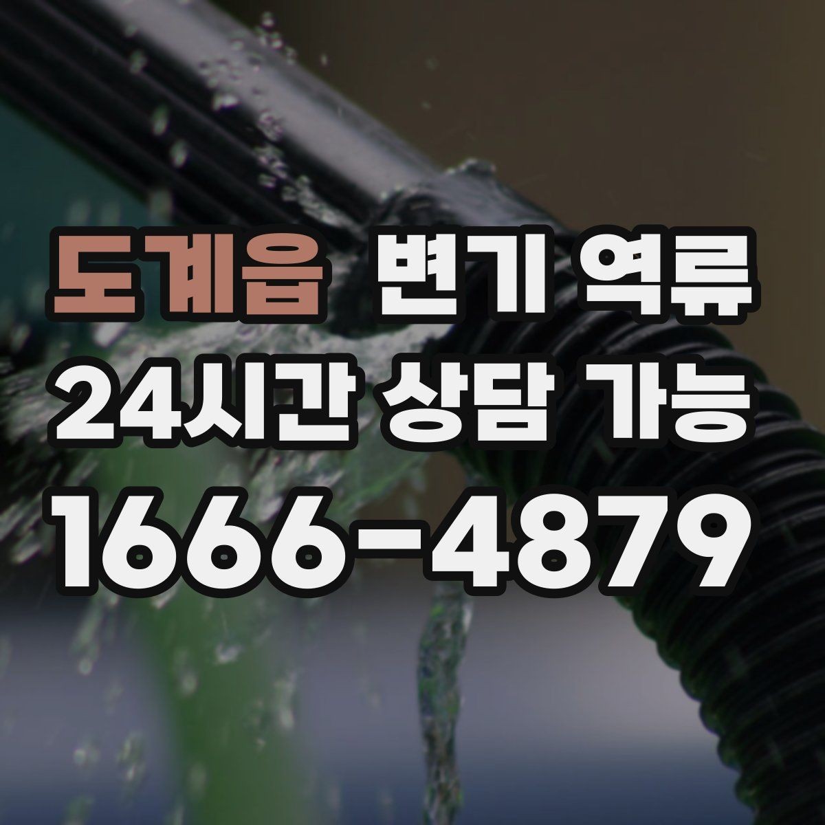 도계읍 변기 역류 장갑·마스크를 꼭 써야 하는 이유