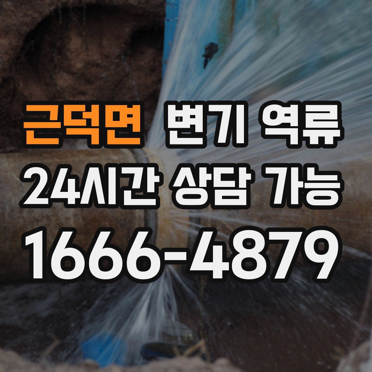 근덕면 변기 역류