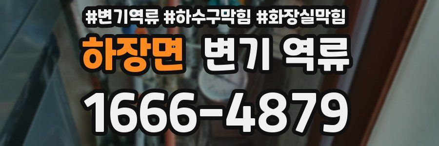 하장면 변기 역류