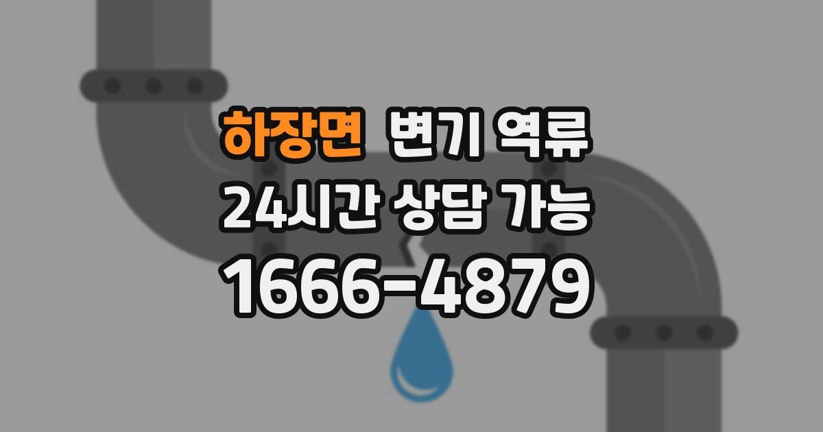 하장면 변기 역류