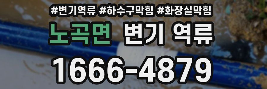 노곡면 변기 역류