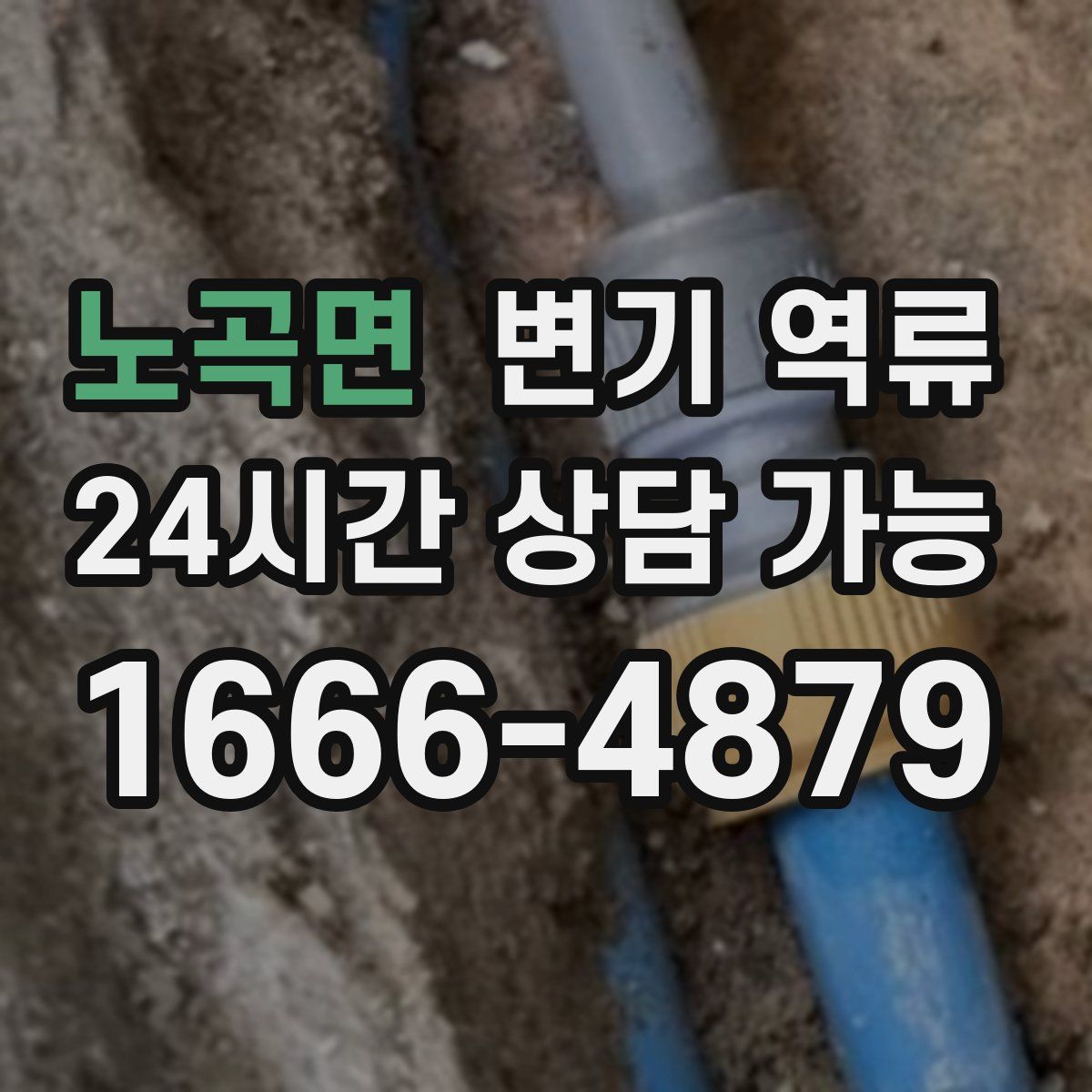 노곡면 변기 역류