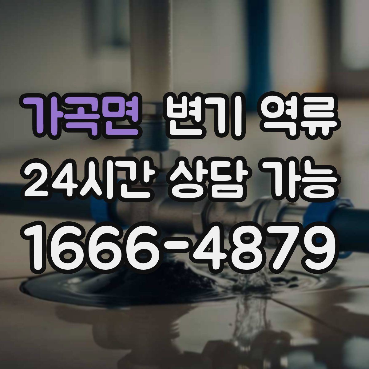 가곡면 변기 역류 공용 배관이면 관리사무소에 먼저 알려야 할까