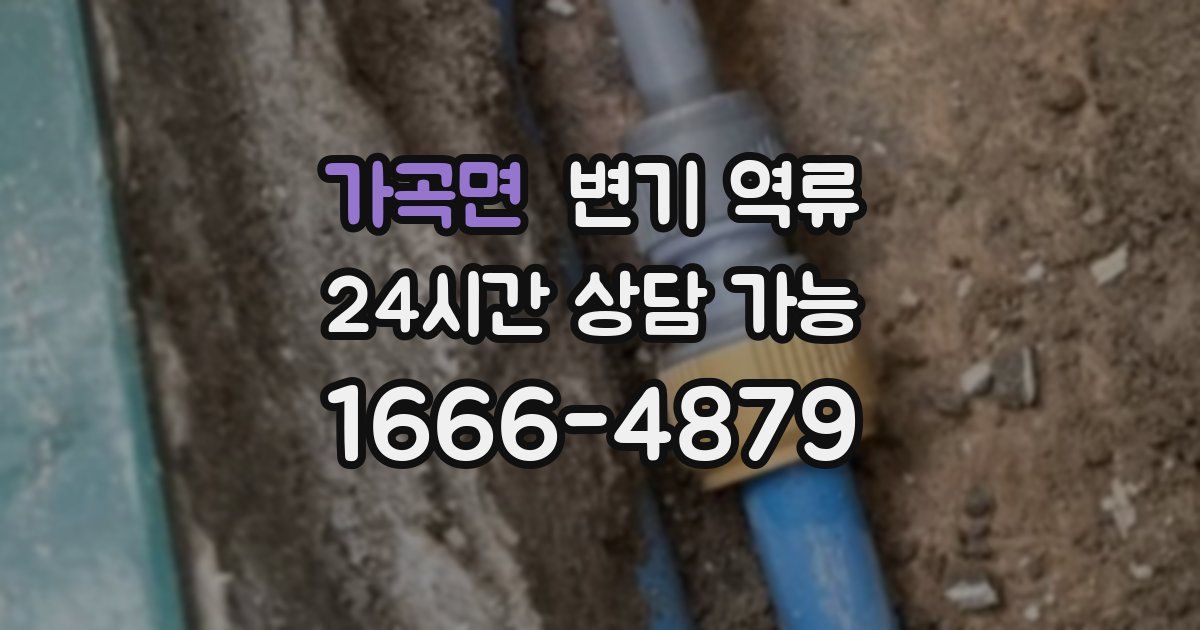 가곡면 변기 역류