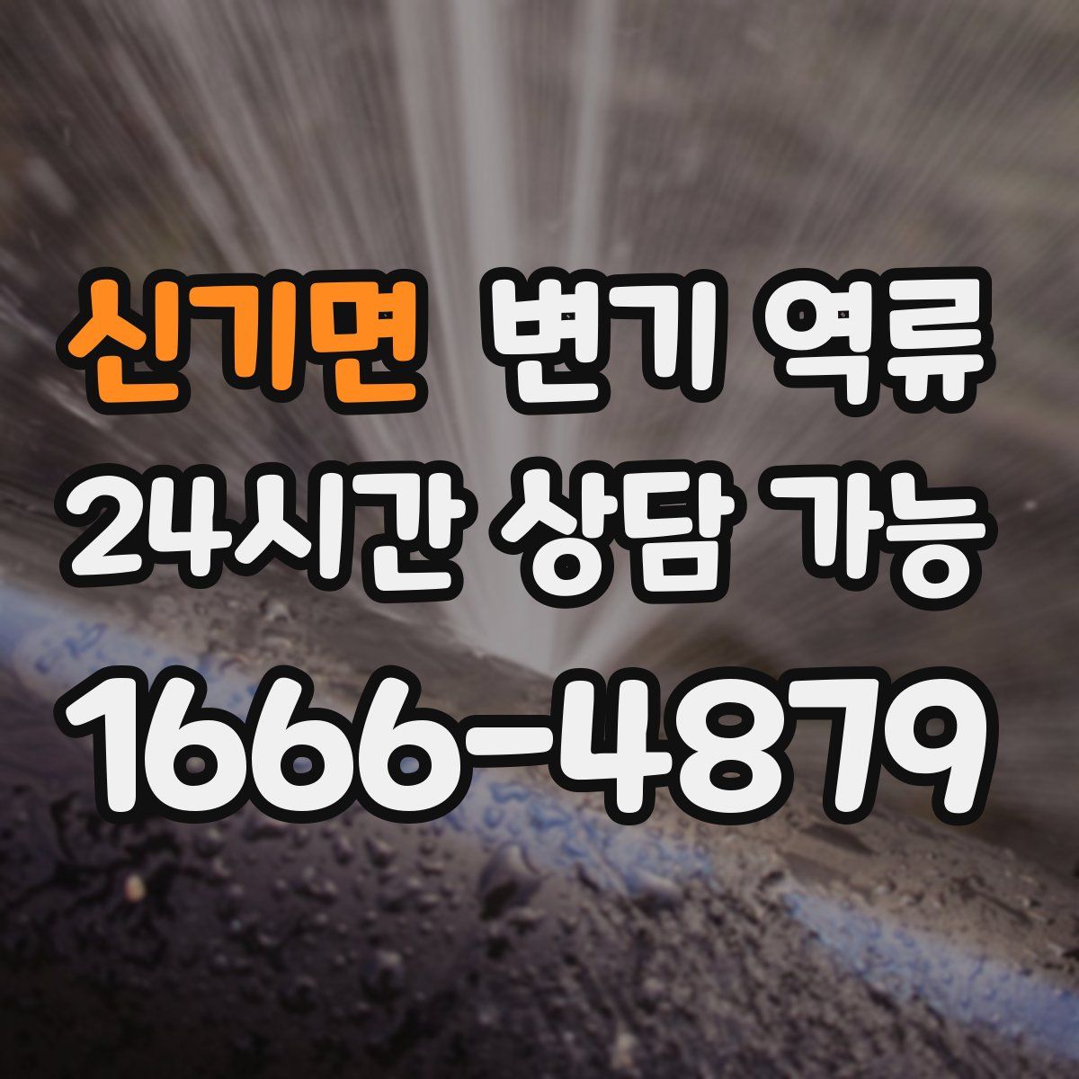 신기면 변기 역류