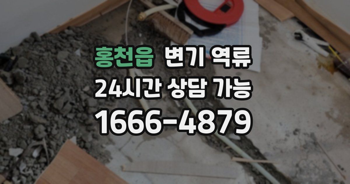 홍천읍 변기 역류