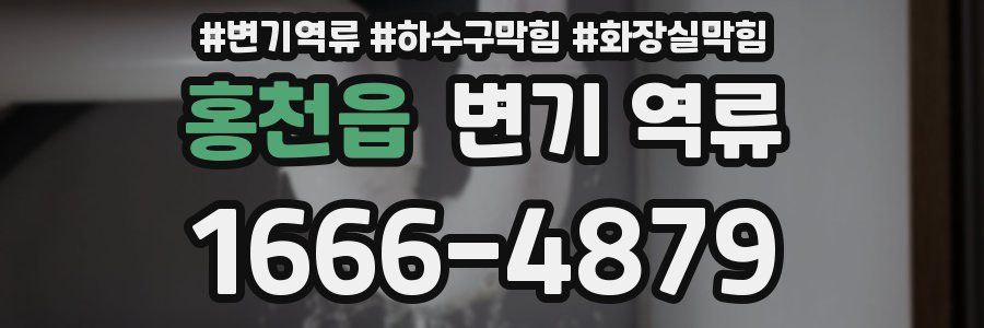 홍천읍 변기 역류