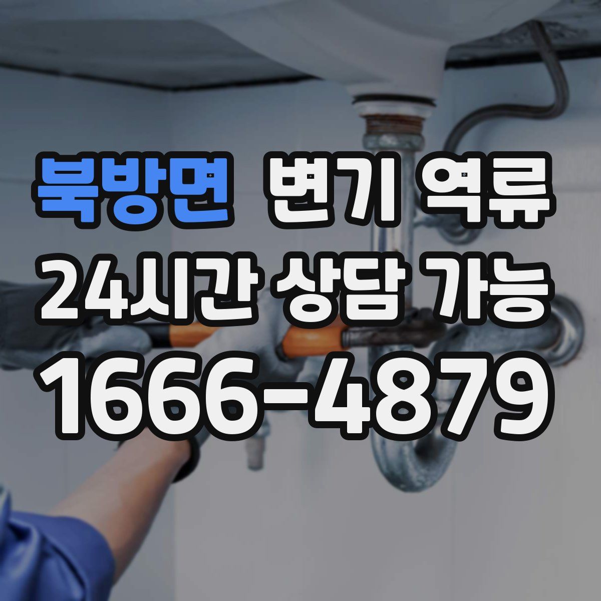 북방면 변기 역류