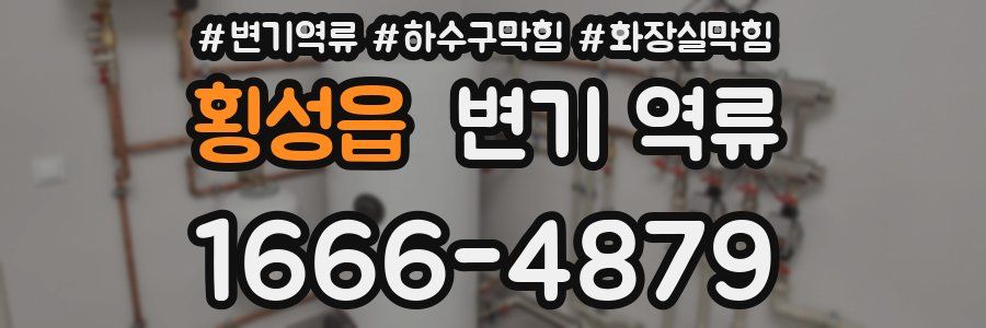 횡성읍 변기 역류