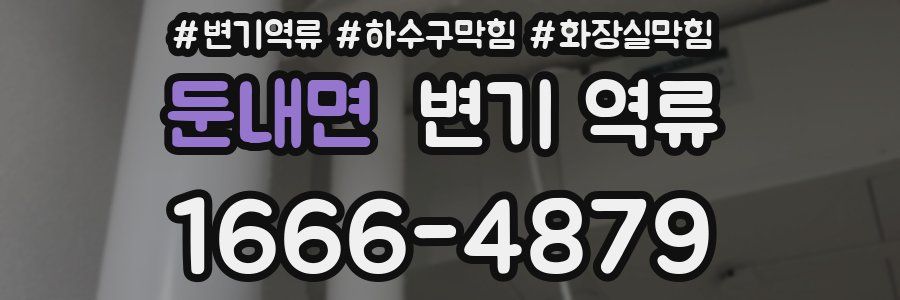 둔내면 변기 역류