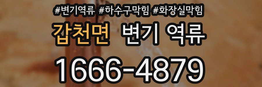 갑천면 변기 역류