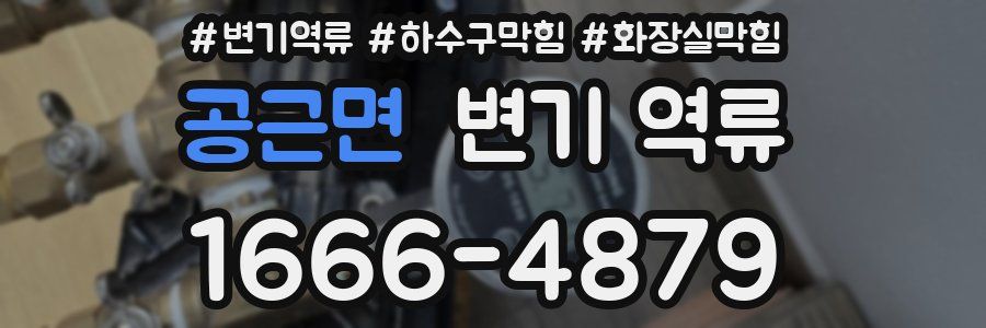 공근면 변기 역류