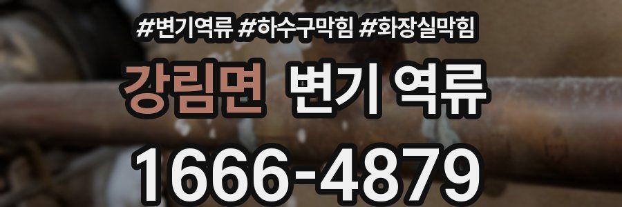 강림면 변기 역류